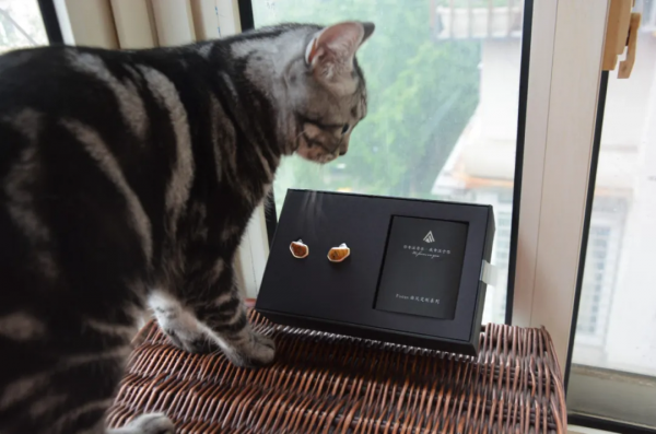 Superb的黃楓木：簡單聊聊 Focus EDM 律