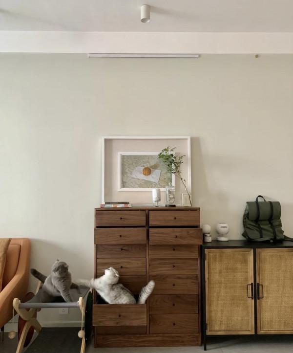 廣西女主，因太會佈置而走紅，雖然只有70㎡，卻成了網友羨慕的家