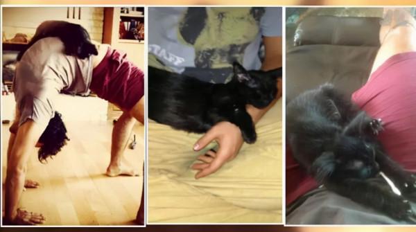 貓咪在走丟5年後，與鏟屎官再次重逢：多麼美好的緣分呀