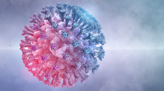 這些人對Omikron具有超級免疫，Omikron大考給各路疫苗打分