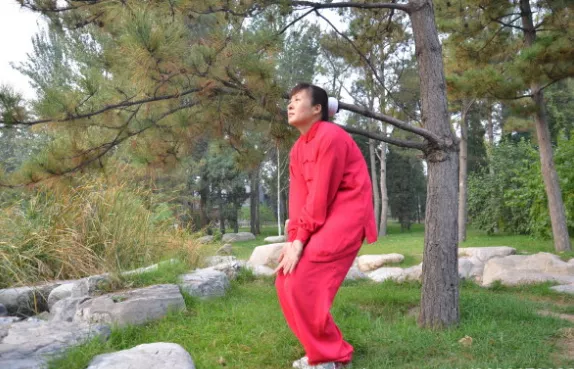 戴氏心意拳樁功——蹲猴猴