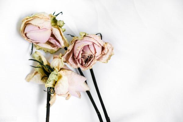 散文：領受歲月的教誨