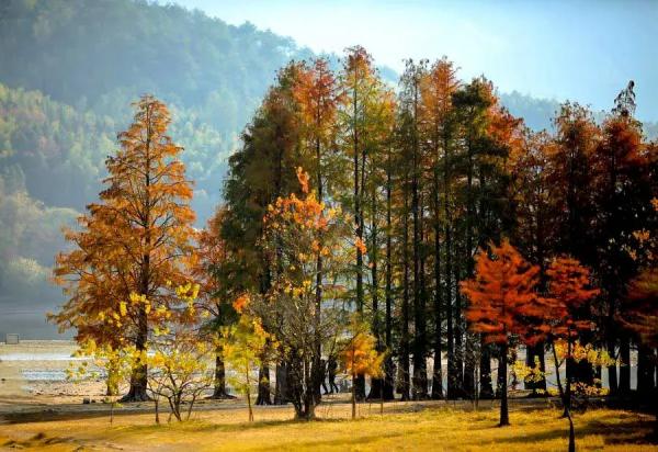 適合冬天的12條小眾自駕路線，人少景美，年末，選一條就出發吧