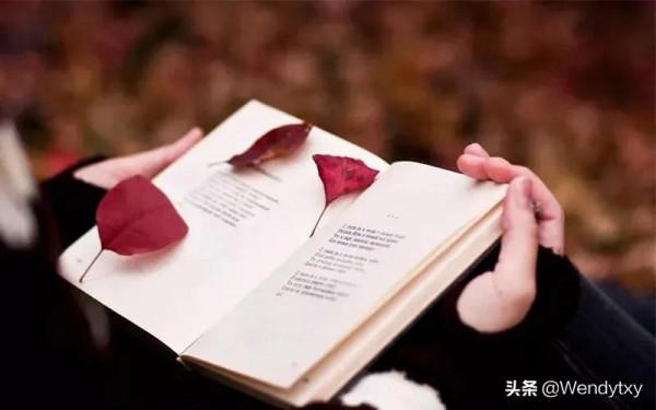 隨筆‖這世界如此美好