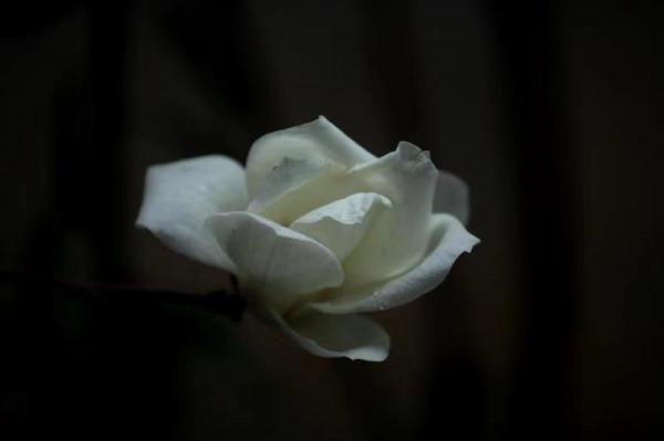 圖組丨踏著春光，迎接彌勒春暖花開