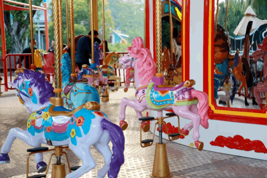 世界之窗，享受當下，放飛自我，共迎未來吧！又平又正