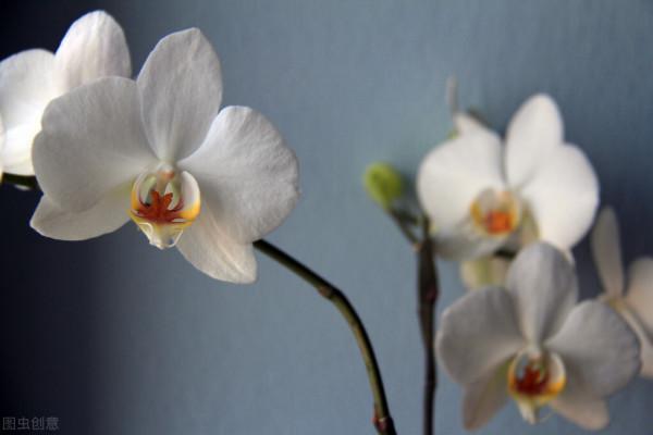 明日運勢最好的三大星座｜10月23號