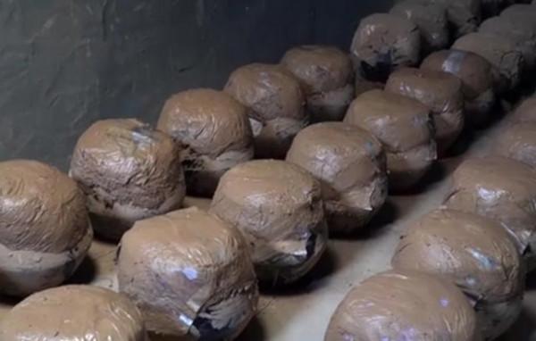 山東大爺用王八燉雞,製作從來不放鹽,24小時不停歇,全國獨一份 山東大爺用王八燉雞,製作從來不放鹽,24小時不停歇,全國獨一份