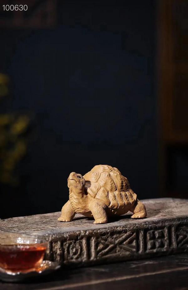 禪雲壽龜，逼真嗎？