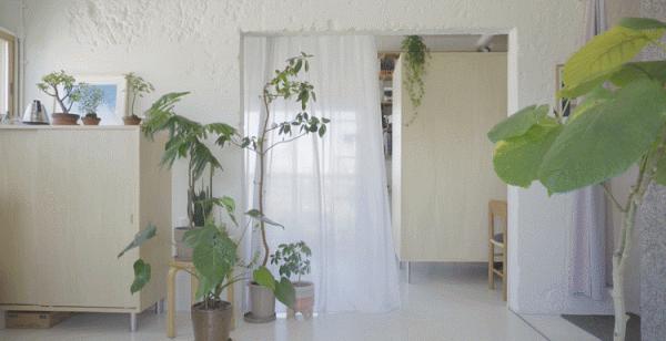 35㎡老破小爆改神作！裝下兩個書房、植物園、三分離衛生間