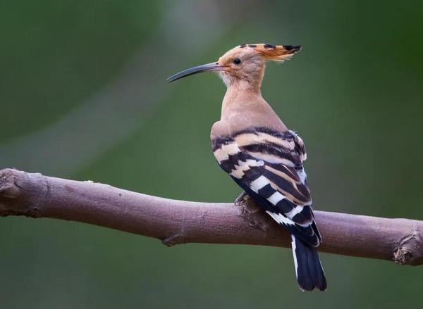 北方的秋天絢麗多彩