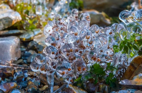 新疆霧凇,這才是完美冬天的開啟方式,真正的冰雪王國... 新疆霧凇,這才是完美冬天的開啟方式,真正的冰雪王國...