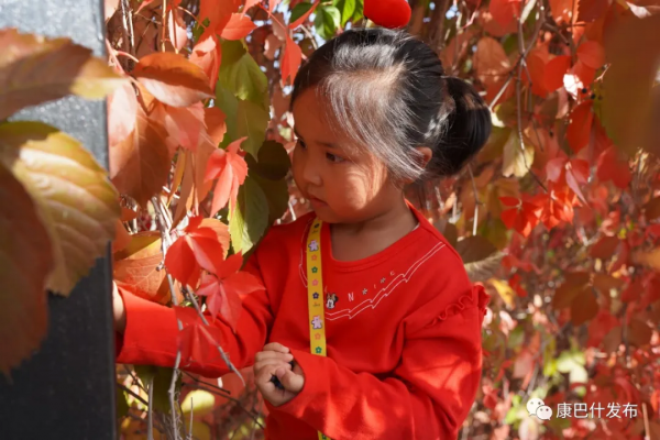互動話題丨你眼中康巴什的最美秋景 互動話題丨你眼中康巴什的最美秋景
