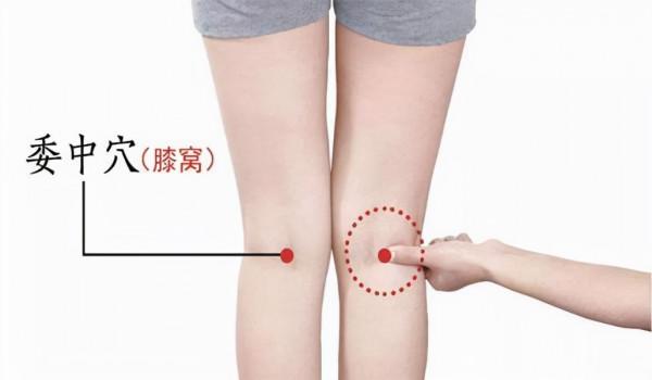 每天只要 5 分鐘，拍一拍，心肝脾肺腎都好了