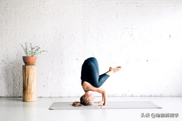想要解鎖瑜伽三點頭倒立?先把這6個體式反覆練,就簡單多了 想要解鎖瑜伽三點頭倒立?先把這6個體式反覆練,就簡單多了