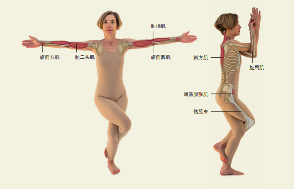 瑜伽鷹式手臂中，一雙手臂纏不上纏不緊怎麼辦？