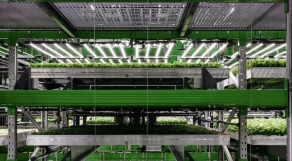 垂直農業又破紀錄！新一輪農業變革強勢來襲