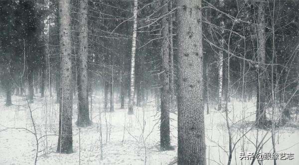 1440個小時的涅槃之畫：黎明之樹，佐藤裕一郎的心之風景