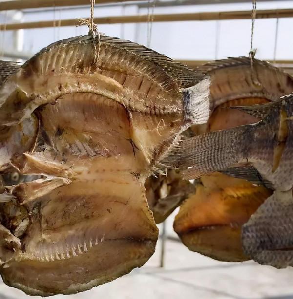 世衛組織公佈的致癌清單:除了“中式鹹魚”,這3種食物也要少吃 世衛組織公佈的致癌清單:除了“中式鹹魚”,這3種食物也要少吃