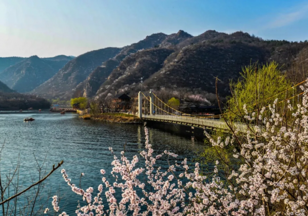 【懷柔消費“微中心”】2021北京網紅打卡地榜單公佈,懷柔這7家火速出圈 【懷柔消費“微中心”】2021北京網紅打卡地榜單公佈,懷柔這7家火速出圈