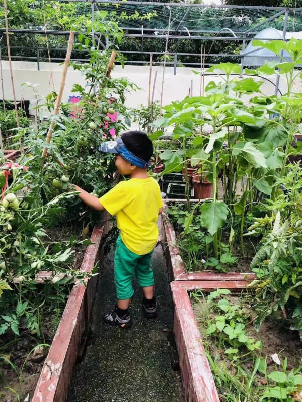 客廳有7m橫窗，女主人建議不裝窗戶全家人都同意了