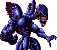 經典遊戲《忍者蛙》你不知道的故事,黑暗女王居然拯救過世界 經典遊戲《忍者蛙》你不知道的故事,黑暗女王居然拯救過世界