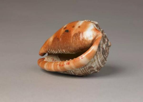 瓷器家族中的“偽裝者”,何以深得乾隆爺喜愛? 瓷器家族中的“偽裝者”,何以深得乾隆爺喜愛?