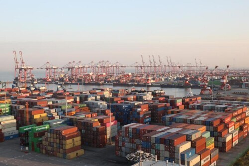 買全球、賣全球！南沙港積極打造新型國際貿易樞紐