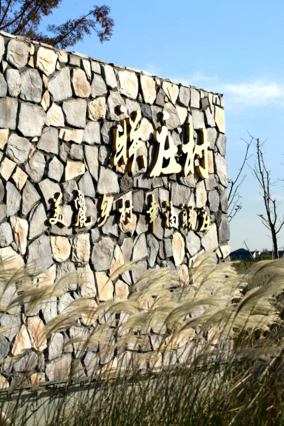 聯莊村：一個＂整＂出來的野趣盎然江南水鄉