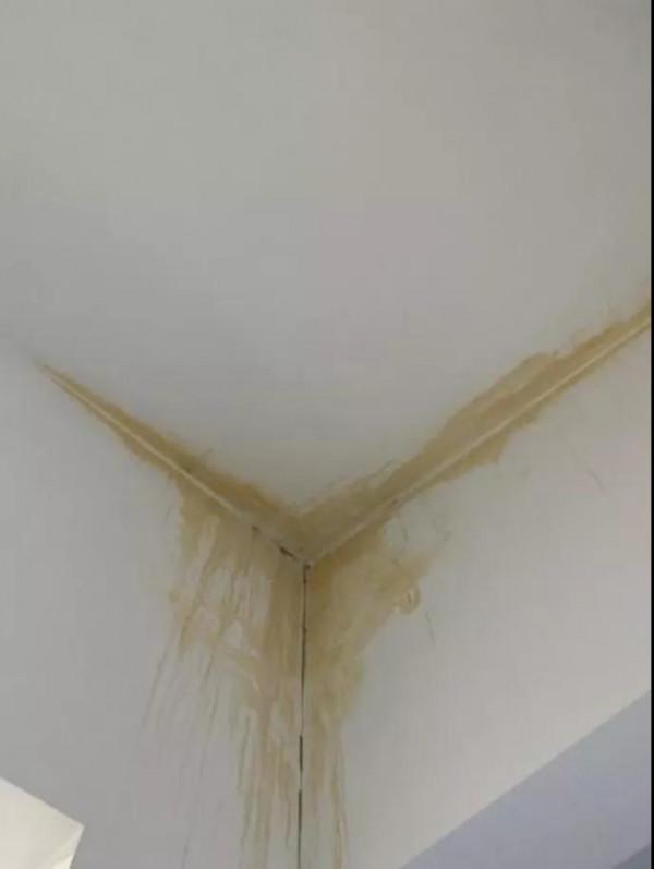 漏水的問題怎麼解決？教你如何做到“萬無一溼”