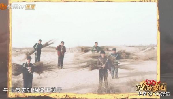 治沙女傑:37年前負債累累,承包11萬畝荒沙,種2800萬棵樹,為啥 治沙女傑:37年前負債累累,承包11萬畝荒沙,種2800萬棵樹,為啥