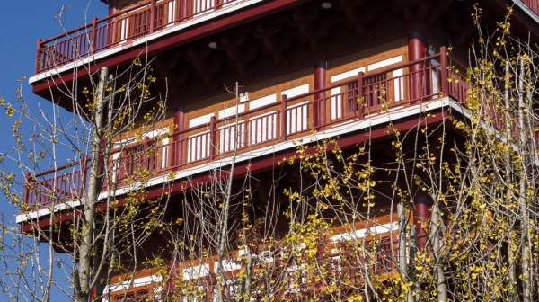 元旦帶上家人跟鐘山這位新晉“網紅”合個影吧！