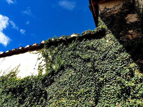 深圳一“鉅富豪宅”，主人一生娶了3位夫人，名聲不輸喬家大院