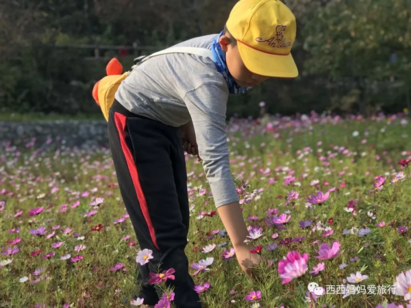 遊房山坡峰嶺 看萬山紅遍