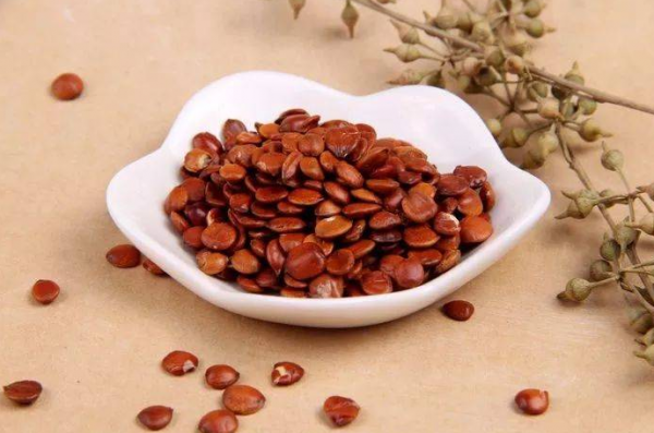 精神抑鬱、情緒焦慮、失眠煩躁，試試醫聖張仲景的甘麥大棗湯