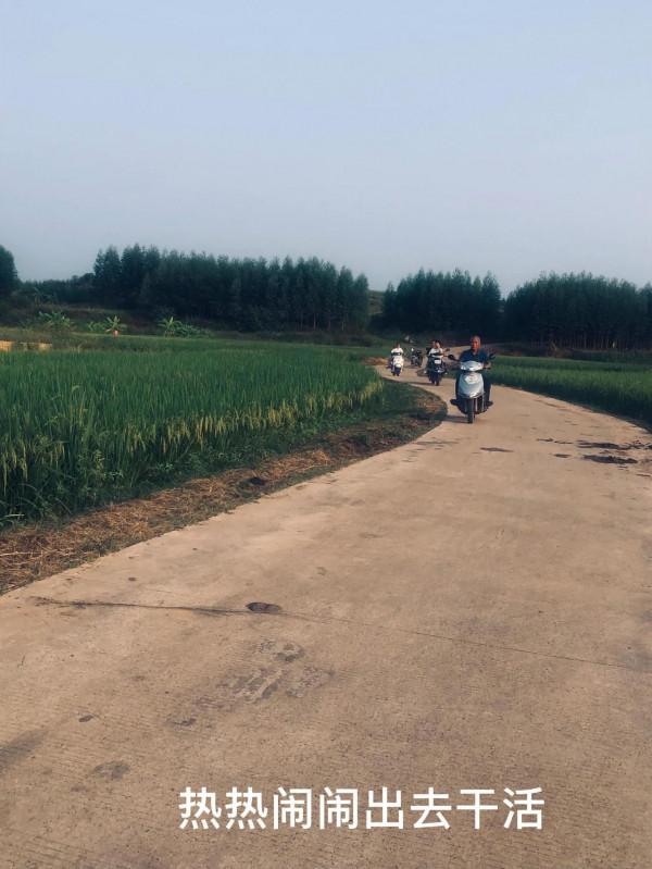 看到農民如此辛苦，卻只換得微博收入，心痛