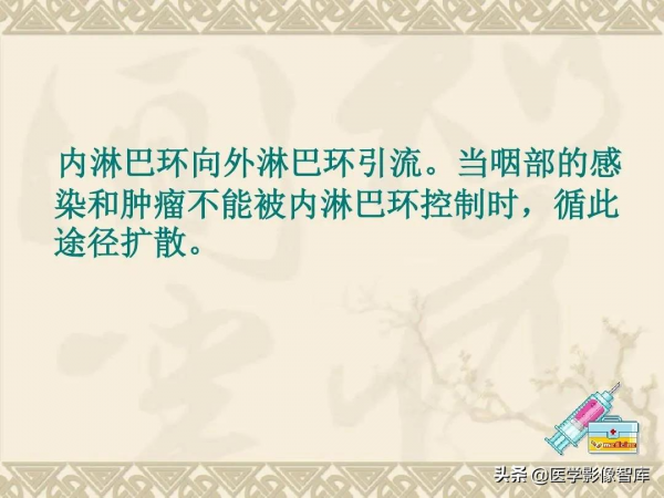 咽喉部解剖最全圖解，值得收藏