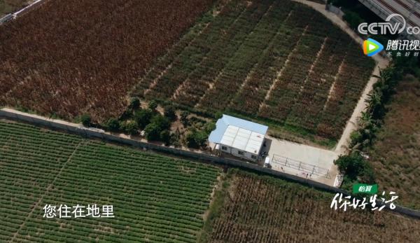 撒貝南、尼格買提向“大國工匠”致敬,一粒種子改變世界 撒貝南、尼格買提向“大國工匠”致敬,一粒種子改變世界