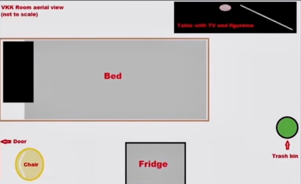 一段虐貓影片牽扯出一件謀殺案,2012年中國留學生加拿大被害始末 一段虐貓影片牽扯出一件謀殺案,2012年中國留學生加拿大被害始末