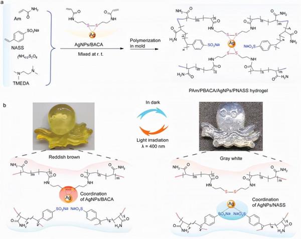 用於水凝膠可逆著色/變色的銀奈米粒子的光門控配位切換