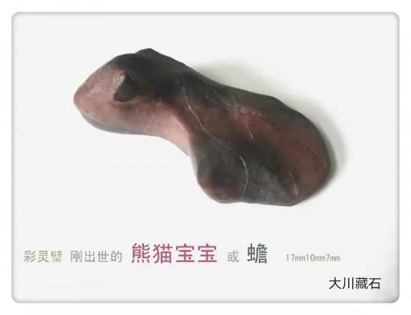 大川藏石56圖分享，天然奇石美不勝收