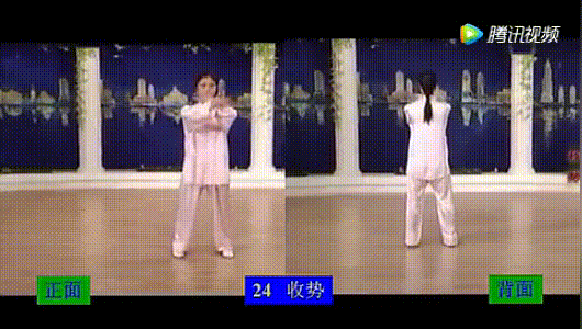 經典套路:24式簡化太極拳正反面演示 經典套路:24式簡化太極拳正反面演示