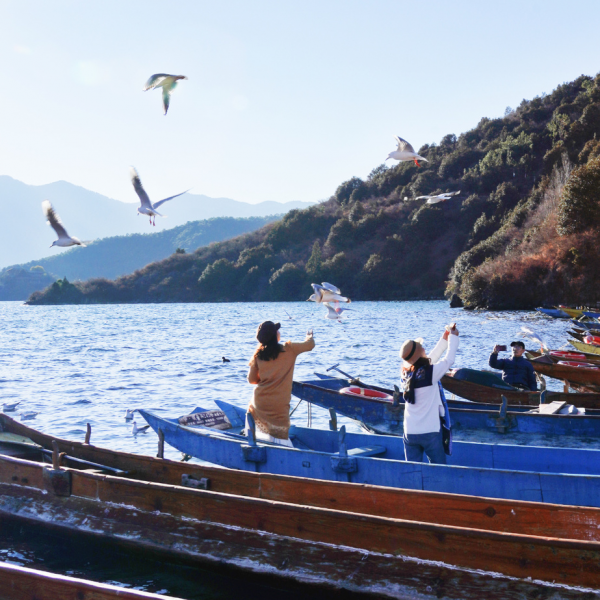 快來，瀘沽湖的冬日精靈，想和你交個朋友！