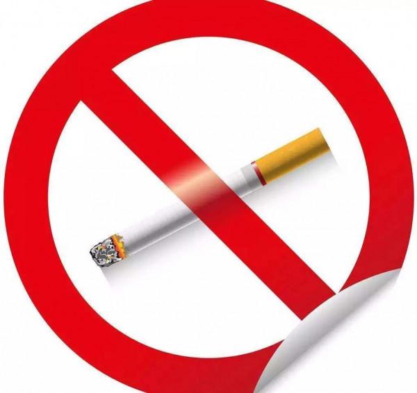 如何改善心臟健康?日常6個關鍵點,讓你遠離心臟病,身體更健康 如何改善心臟健康?日常6個關鍵點,讓你遠離心臟病,身體更健康