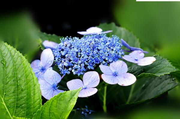 &OpenCurlyDoubleQuote;有無福氣，一看便知&rdquo;：一個家庭的福氣，取決於這三個人的貌相