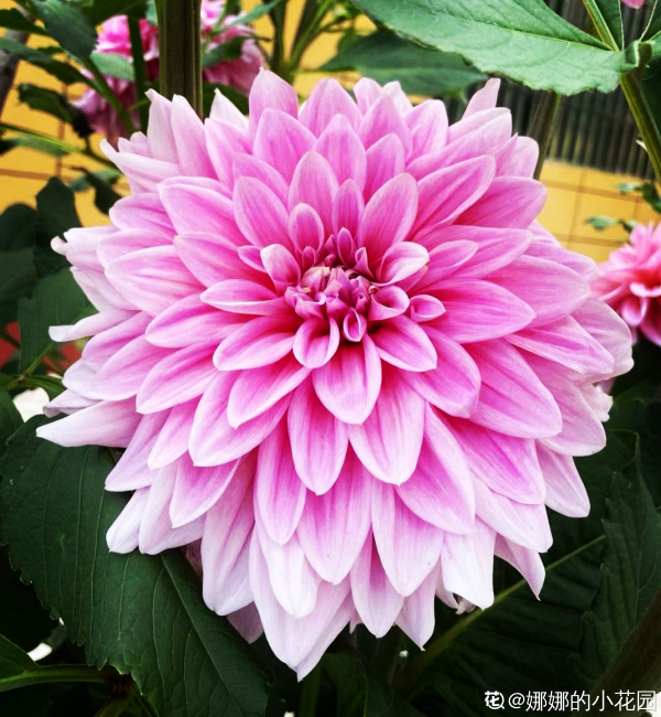 人到中年,4件事要看開,生活會越來越好 人到中年,4件事要看開,生活會越來越好