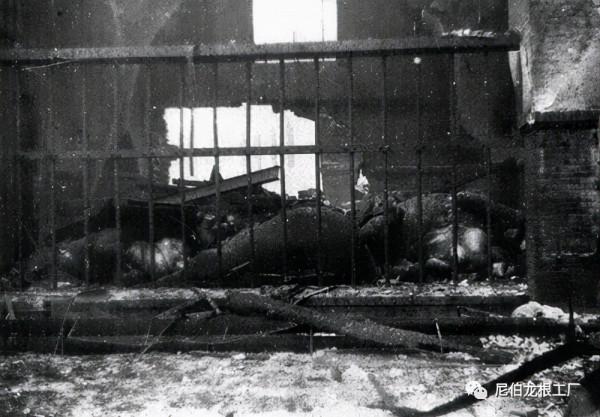 沒救了，燉了吧：二戰中的德國柏林動物園