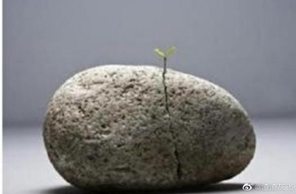 說文解字:日月星辰的“辰”究竟為何物 說文解字:日月星辰的“辰”究竟為何物