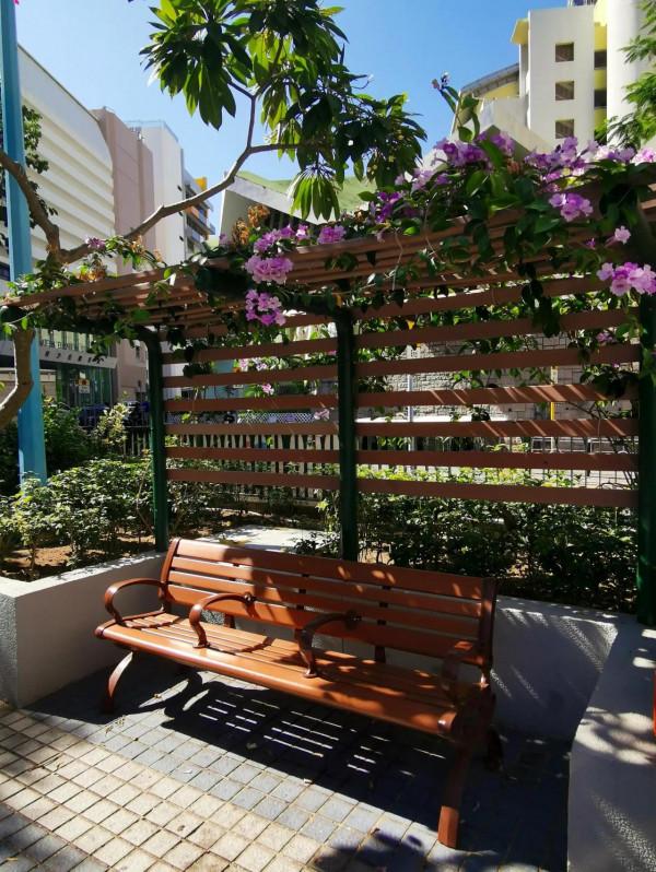 像當地人那樣，我在公園裡坐了半天