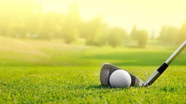 高爾夫球杆——鐵桿的構造 高爾夫球杆——鐵桿的構造